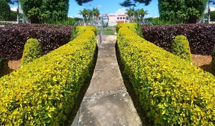 Taflan çevrili yürüyüş yolu